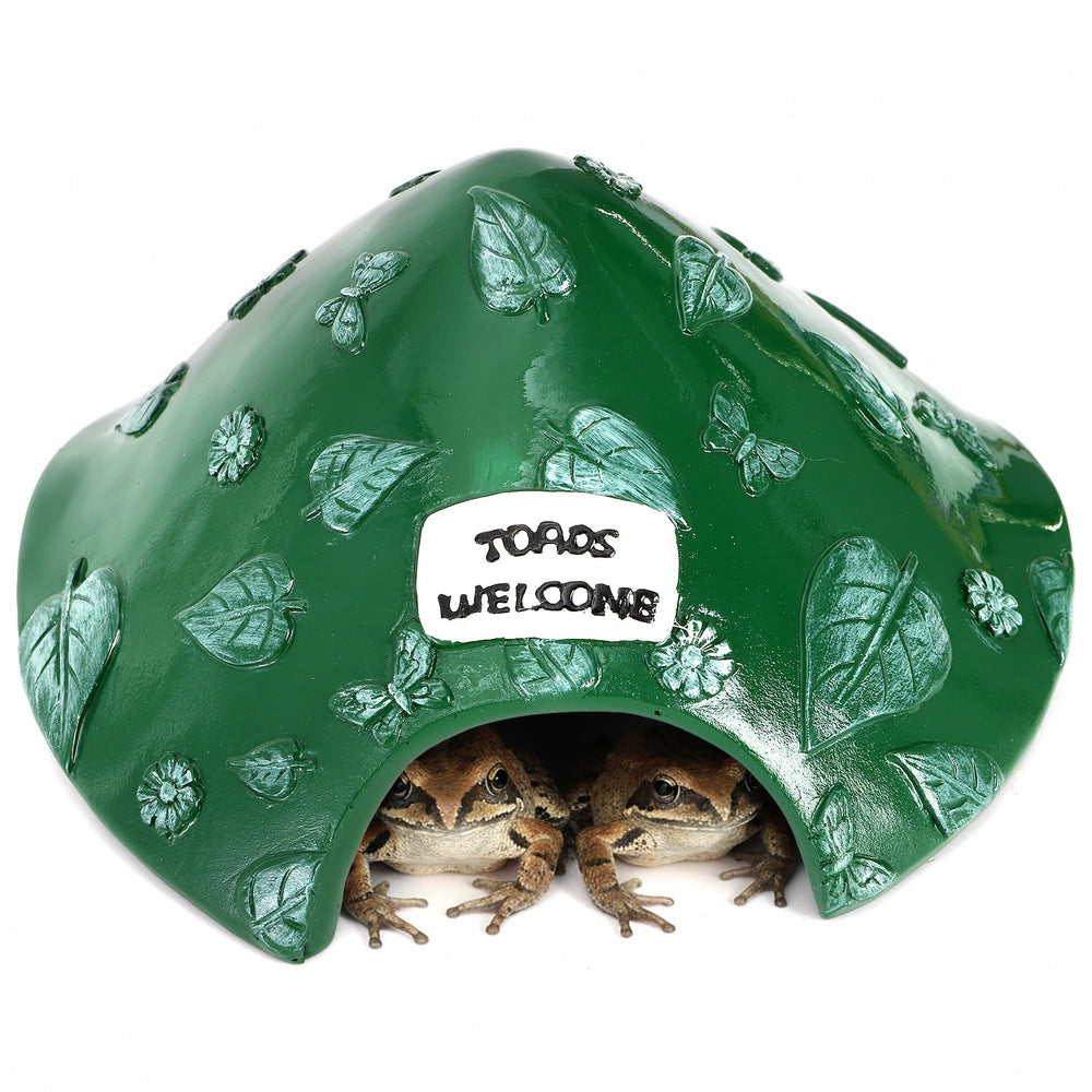 TOPZEA aquatic terrarium habitat suitable for water and land use.