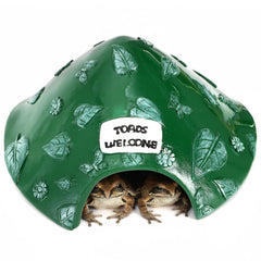 TOPZEA aquatic terrarium habitat suitable for water and land use.