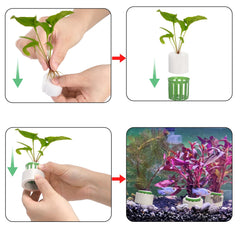 TOPZEA ceramic weight anchors stabilize plant clusters in tanks and ponds.