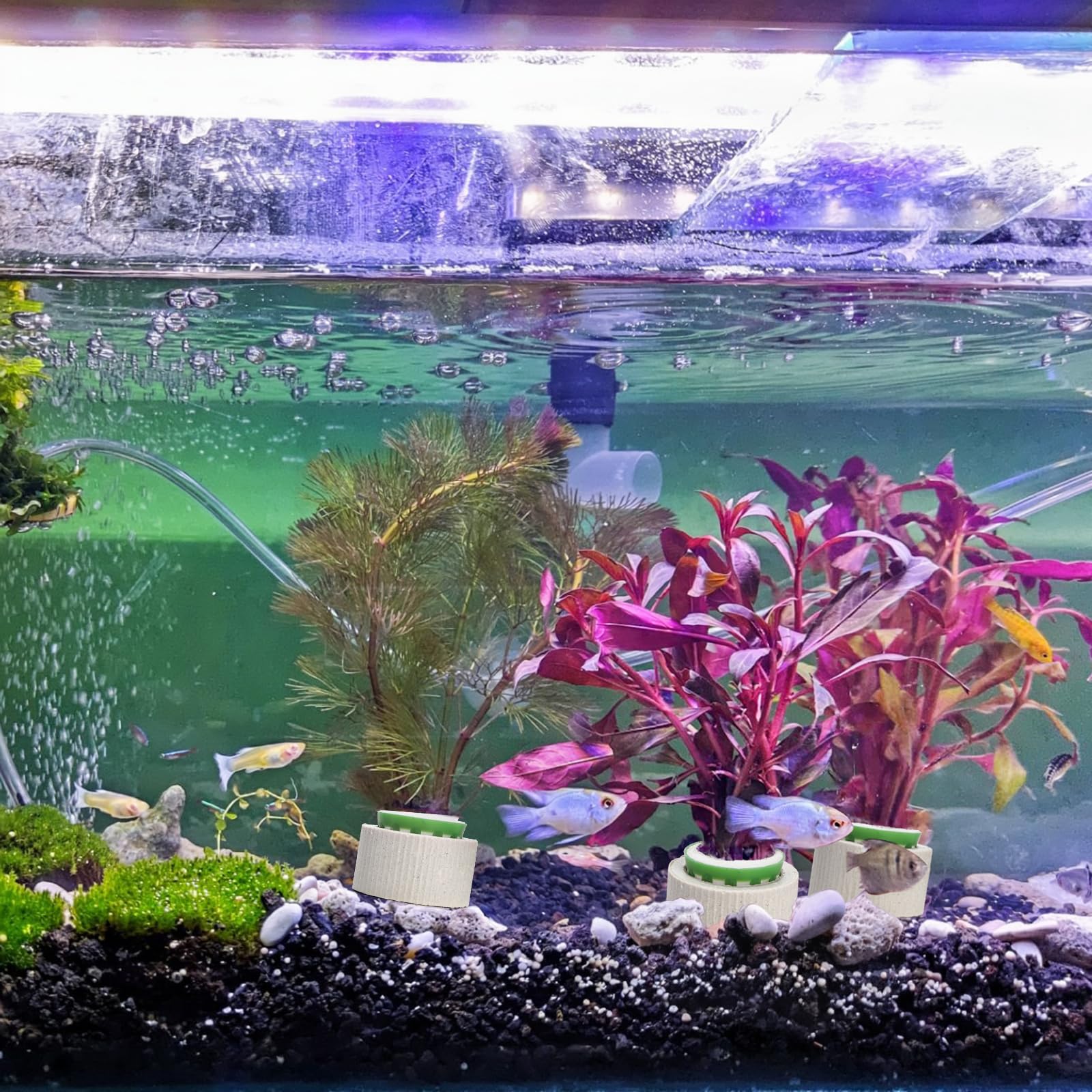 TOPZEA compact 1.75 inch ceramic ring fits tight spaces in tanks.