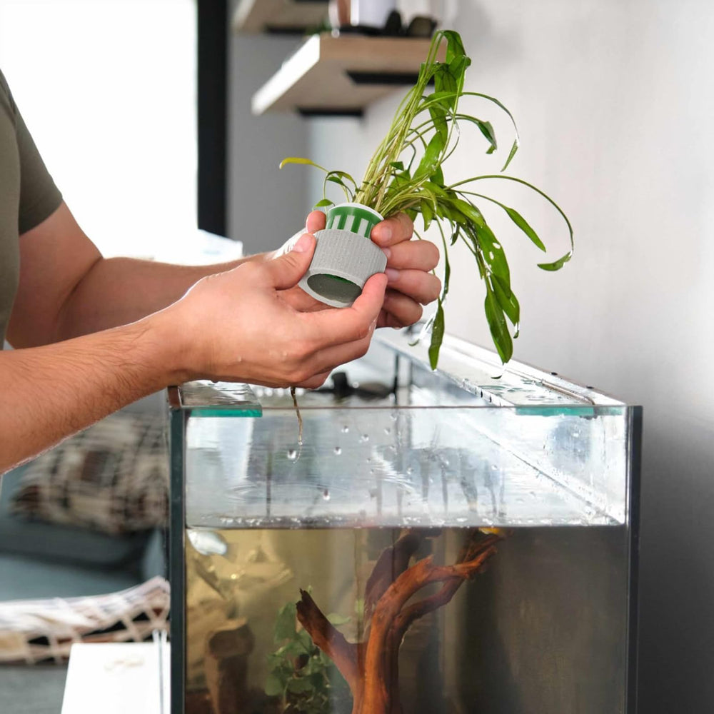TOPZEA easy install basket simplifies bottom placement in aquariums.