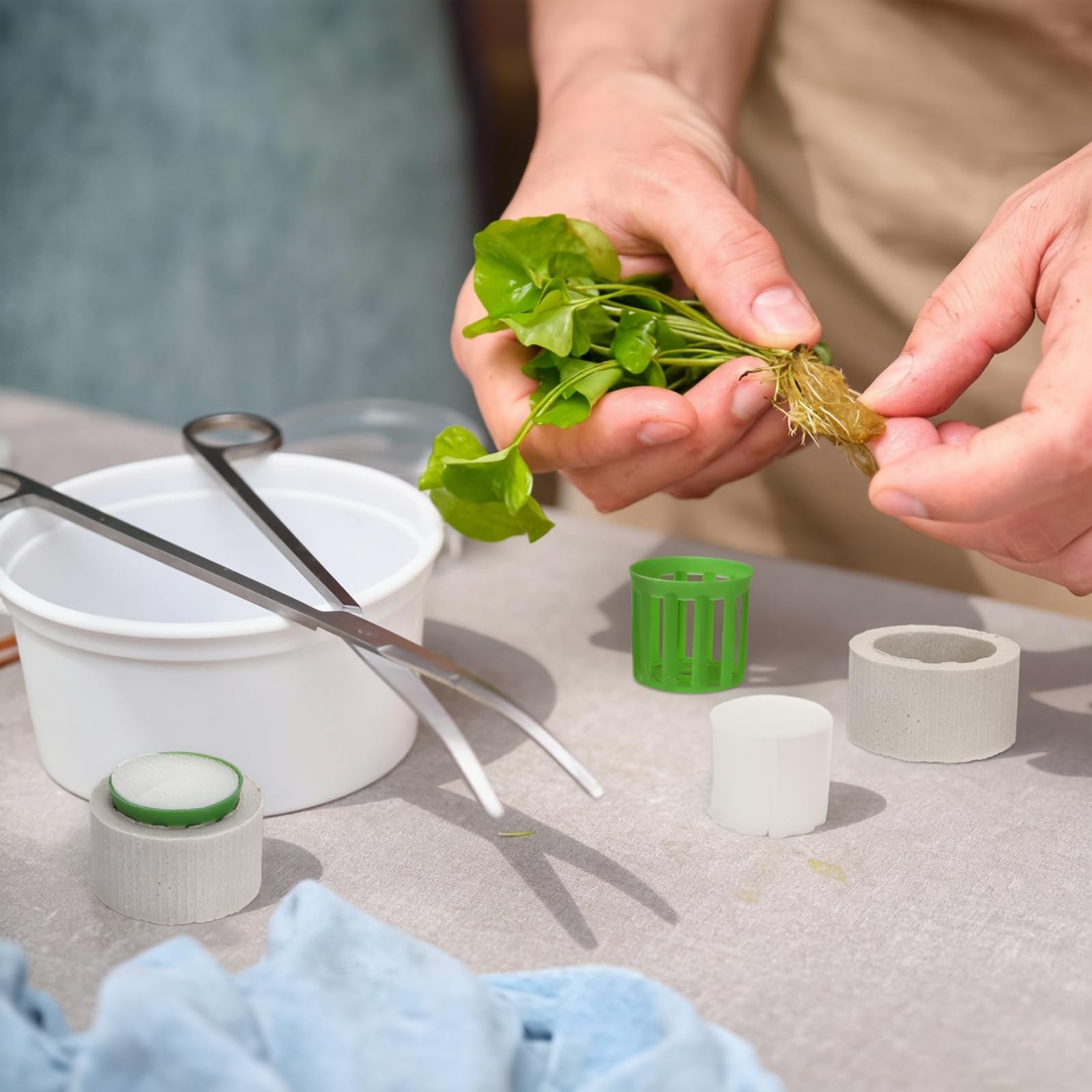 TOPZEA allows partial burial for a natural look with stable roots.