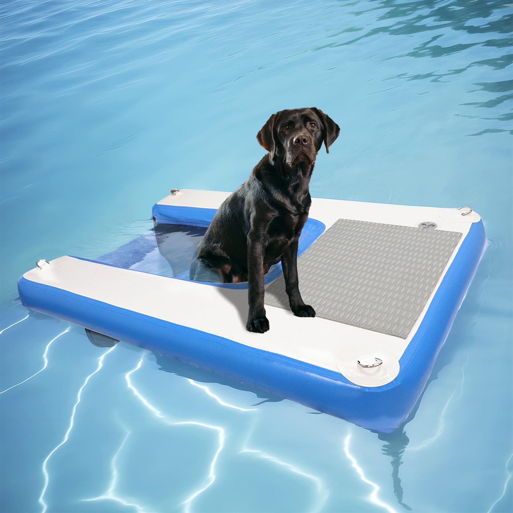 Toriexon dog boat ramp 48x32 provides easy water access and secure footing.