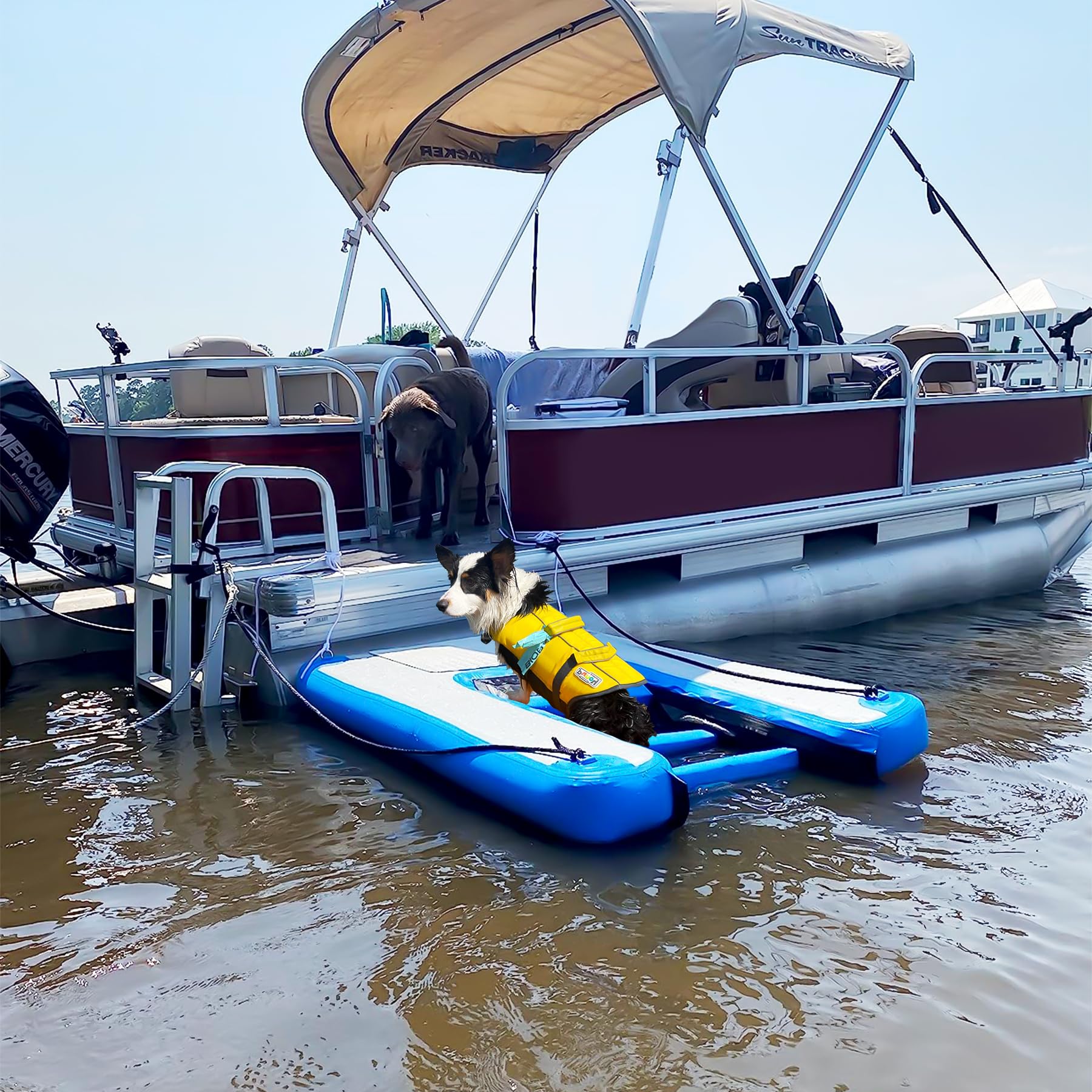 Toriexon portable water ramp for easy transport and storage.