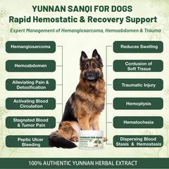 Close-up of Torramyzil Sanqi powder jar highlights a natural herbal formula.