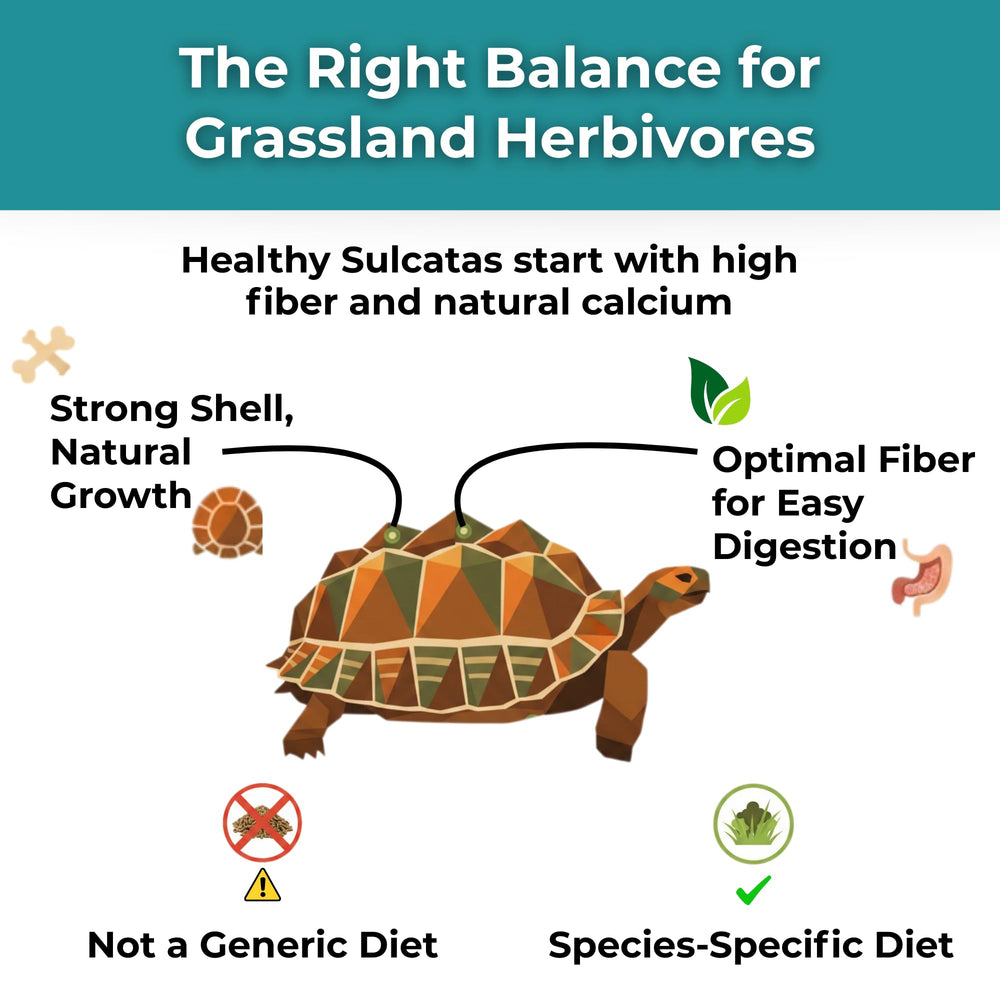 Tortoise Resource Center 30-day shaker bottle for simple dosing