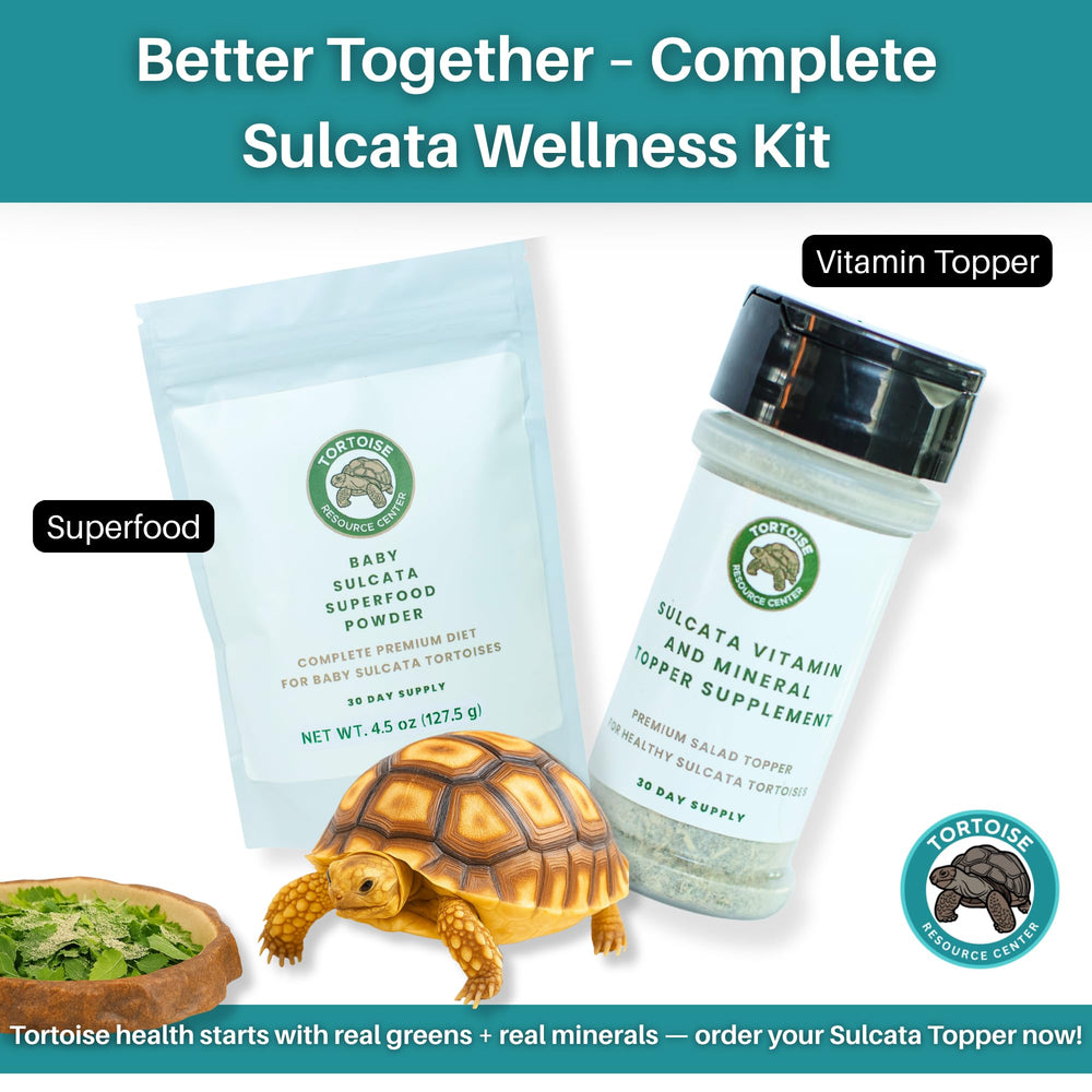 Tortoise Resource Center community access for sulcata owners