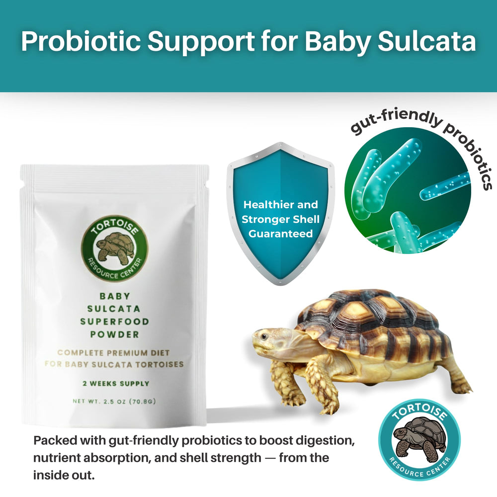 Tortoise Resource Center growth tracking journal for development monitoring