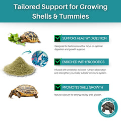 Tortoise Resource Center powder texture close-up showing fine, digestive-friendly format