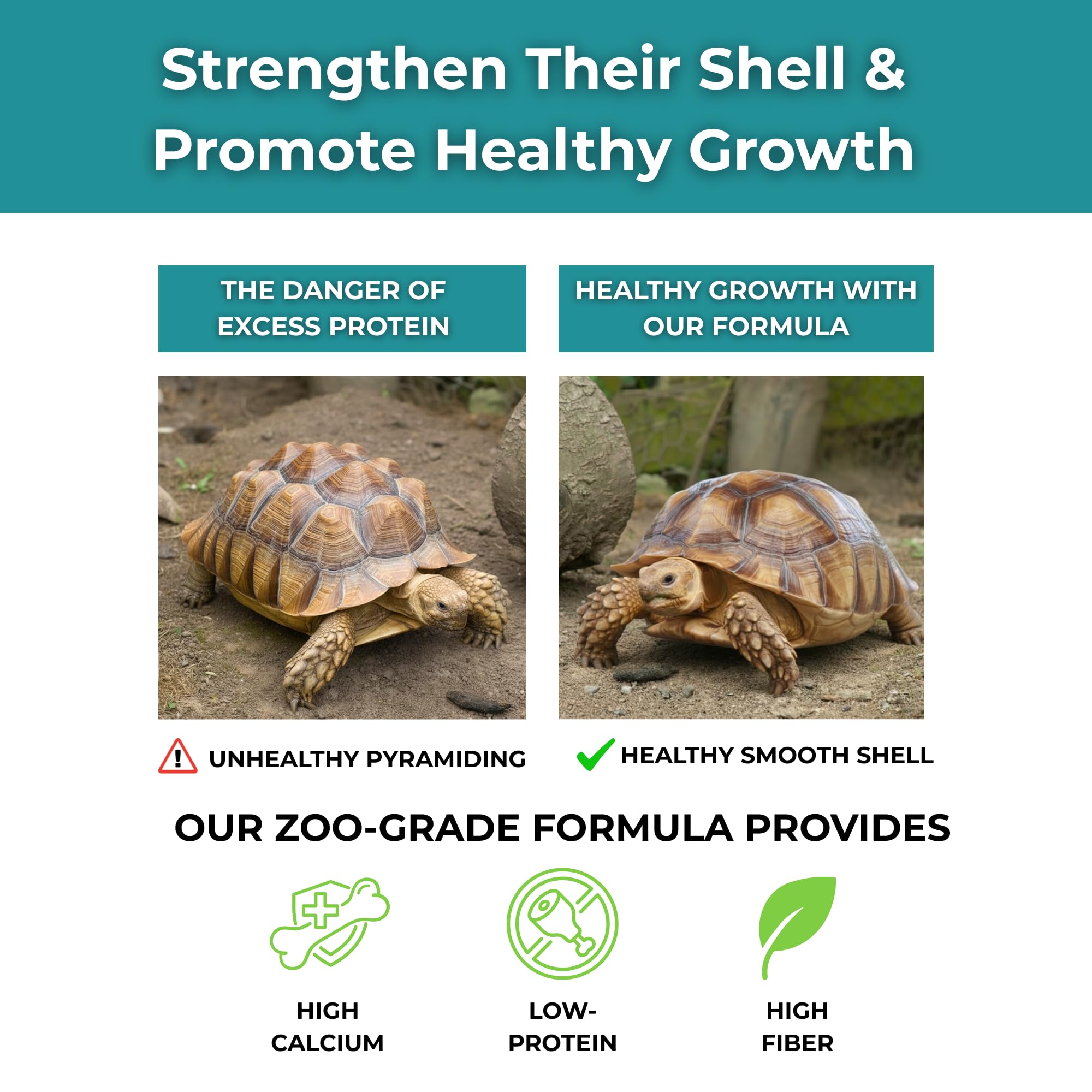 Tortoise Resource Center probiotics live cultures to support gut health