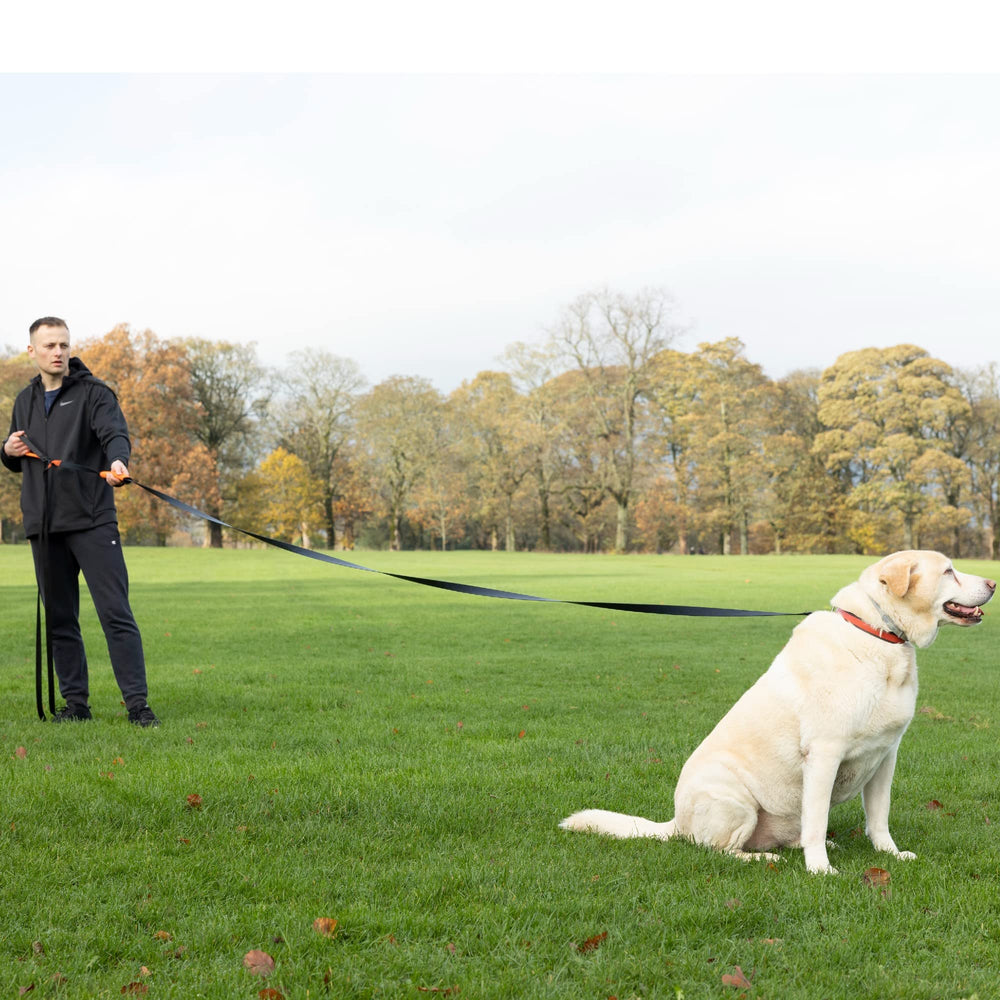 Total Pet durable leash for large and small breeds during walks.