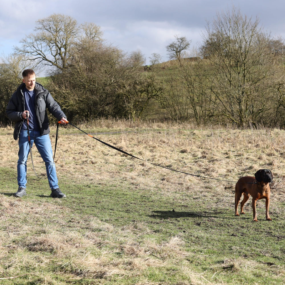 Total Pet grip-comfort leash remains comfortable in hand during longer sessions.
