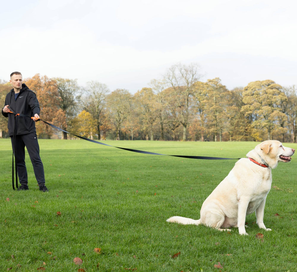 Total Pet long leash adjusting length for varied workouts