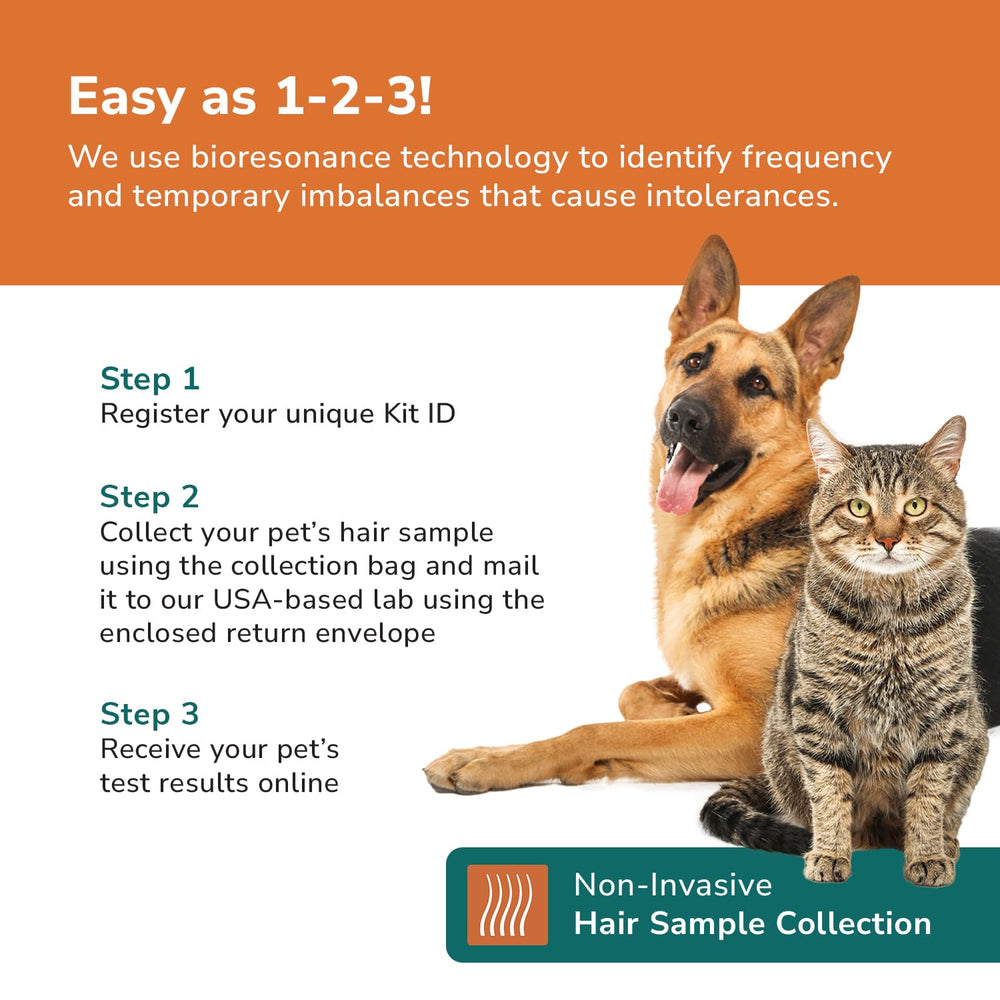TotalVet personalized allergy report with actionable care tips.