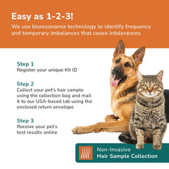 TotalVet personalized allergy report with actionable care tips.