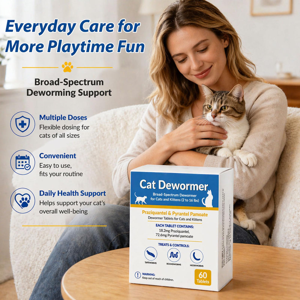 Totoketty supports digestive comfort and energy for cats