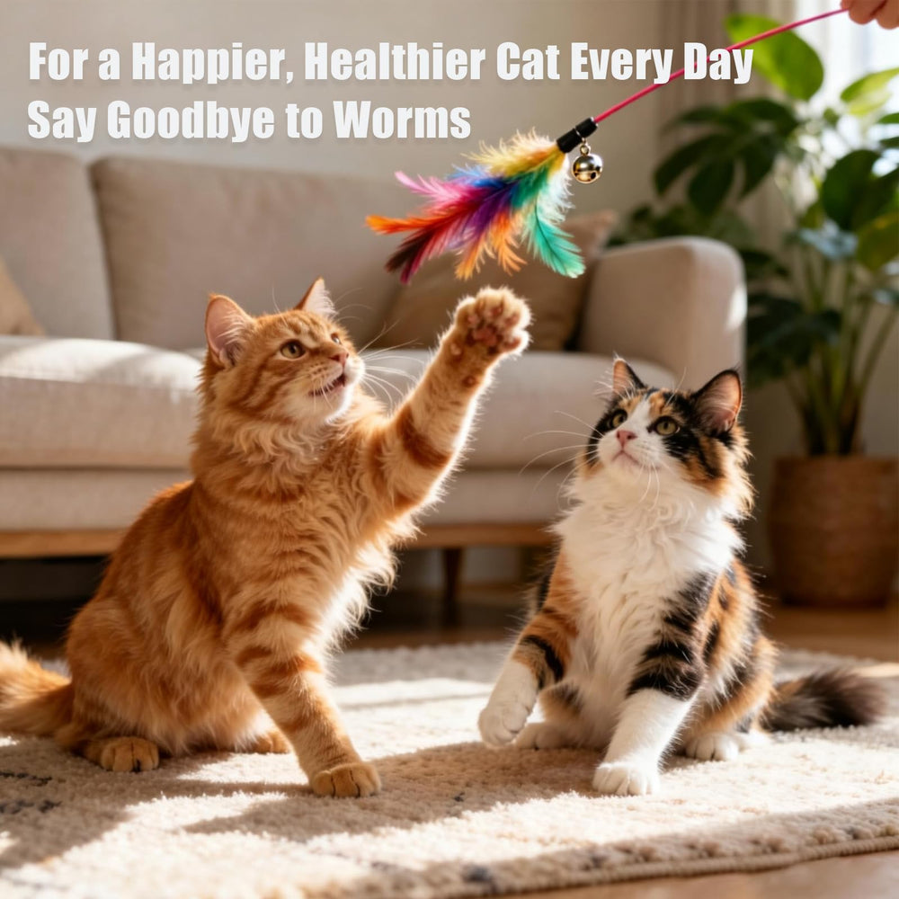 Totoketty dewormer cat daily use setup integrated into routine care