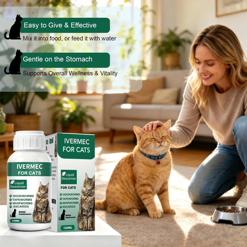Totoketty dewormer cat digestive comfort illustration during or after meals