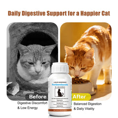 Totoketty dewormer for cats mixed into food illustrates easy blending with meals