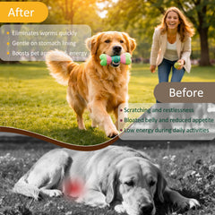 Totoketty dewormer dog serving ready to give for all breeds.