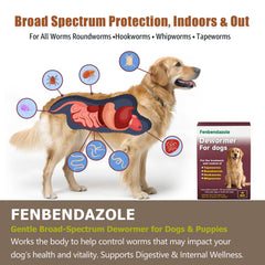 Totoketty dewormer dosage instructions close‑up for safe weight‑based servings.
