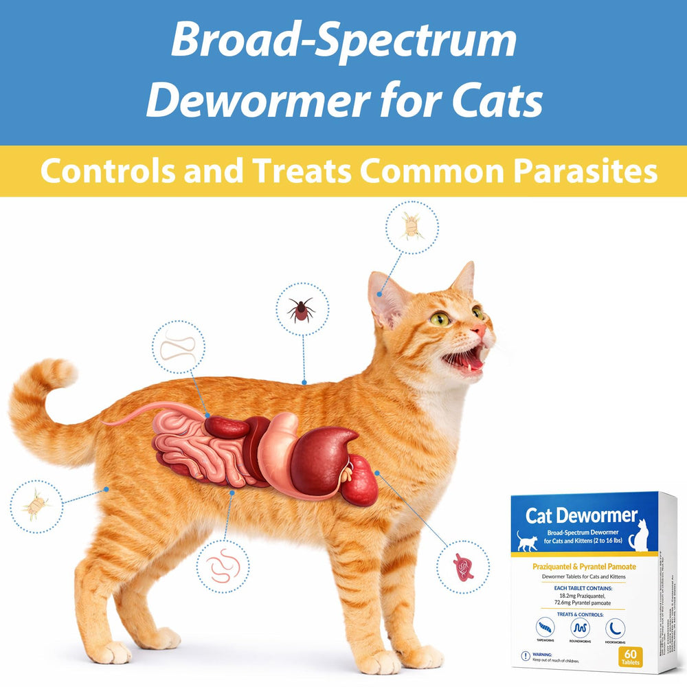 Totoketty dewormer tablets close-up showing small, easy-to-administer form