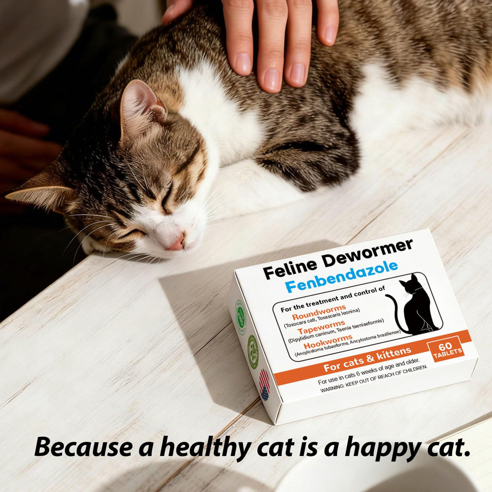 Totoketty Fenbendazole dewormer boosts cat energy and activity