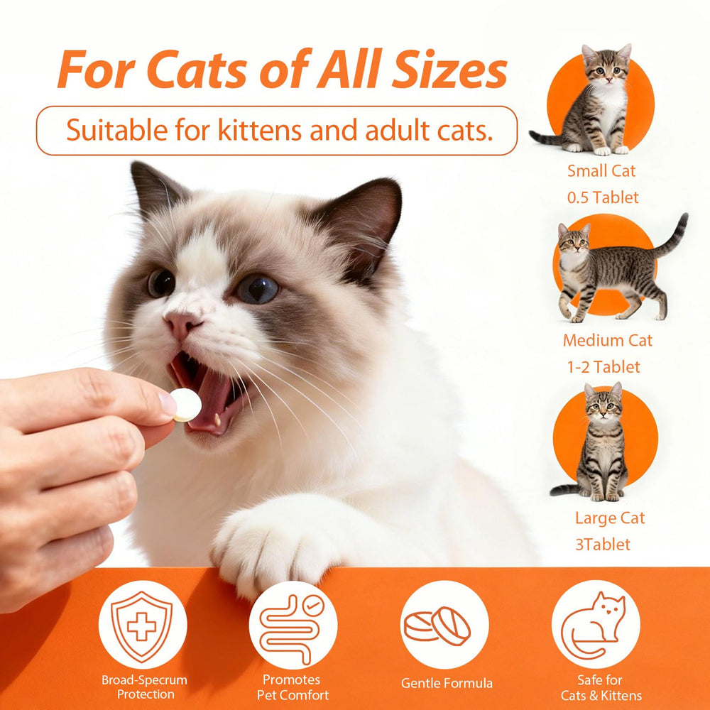 Totoketty Fenbendazole dewormer cat tablets for flexible dosing