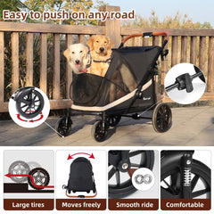 Totoro Ball front mesh emphasizes breathability during outdoor strolls.