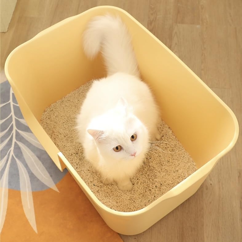 TownTime non-slip bottom helps keep the box stable on floors