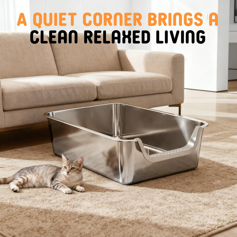 TownTime stainless steel box resists scratches and daily cleaners while staying polished.