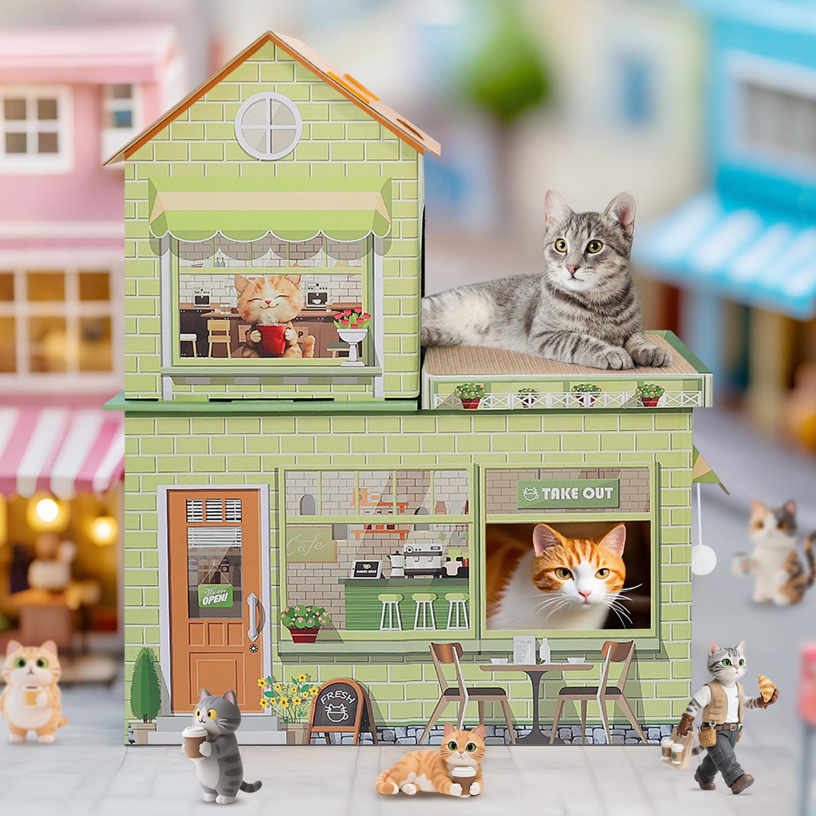 TOYSBOOM scratch pads and fuzzy ball enhance scratching and interactive play.