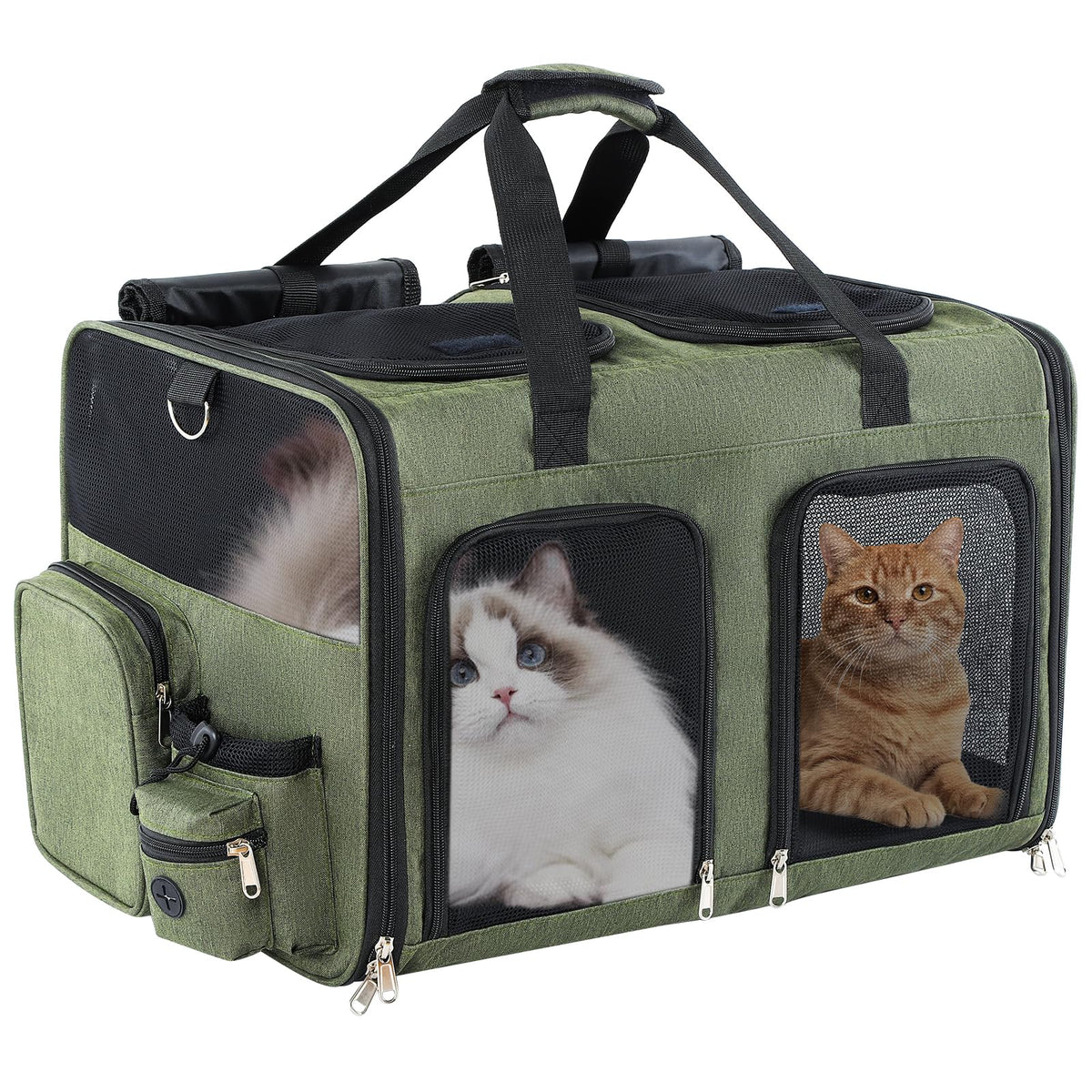 TOYSBOOM cat carrier with duo mode divider for two-cat travel