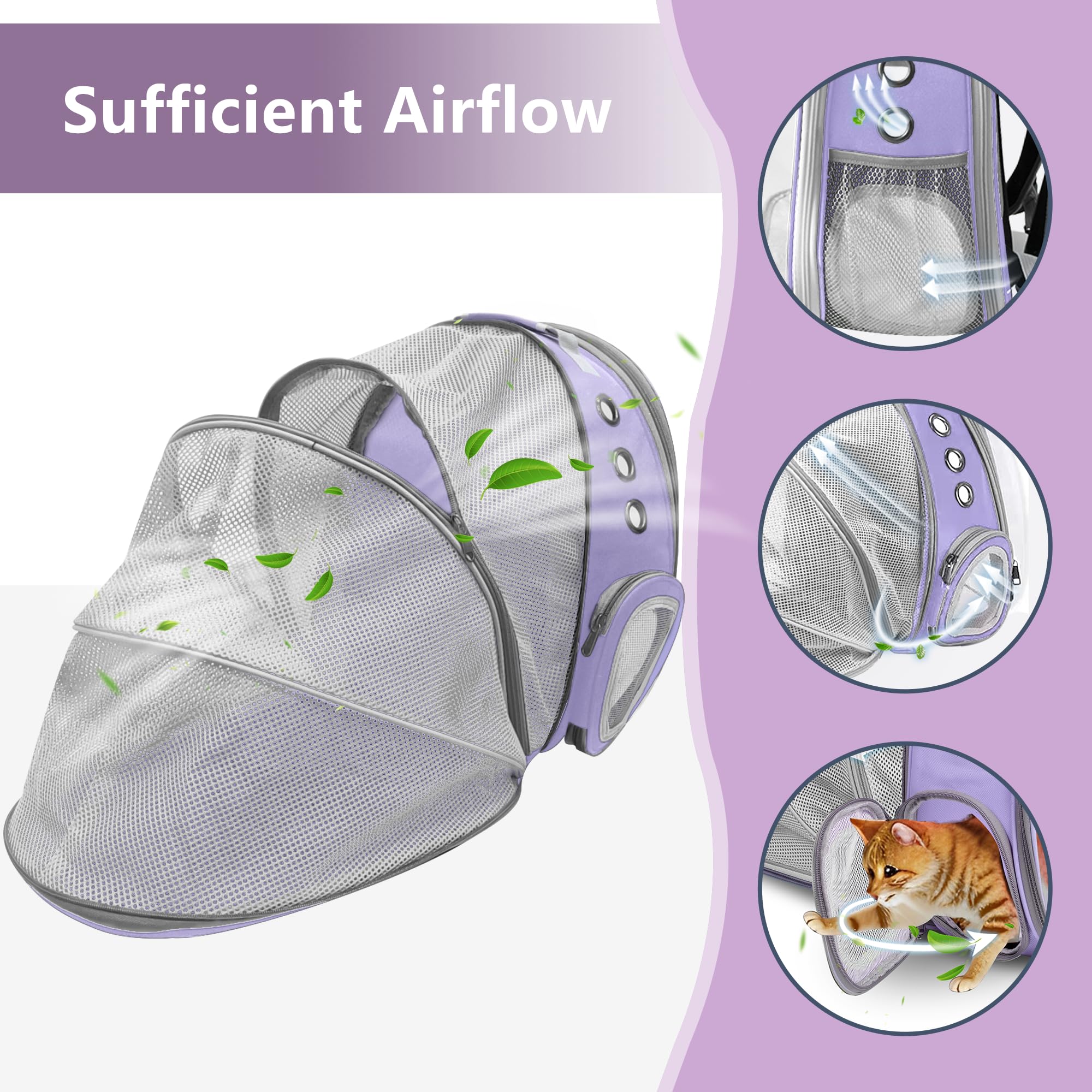 TOYSINTHEBOX anti-escape system ensures pet safety during adventures.