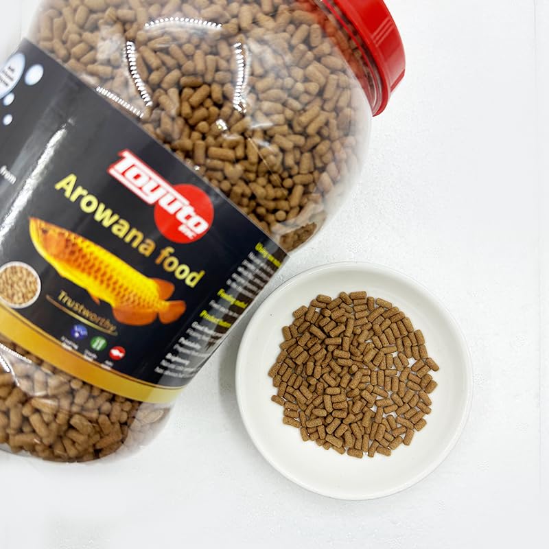 Toyuto color-boosting pellets with astaxanthin enhance fish vibrancy.