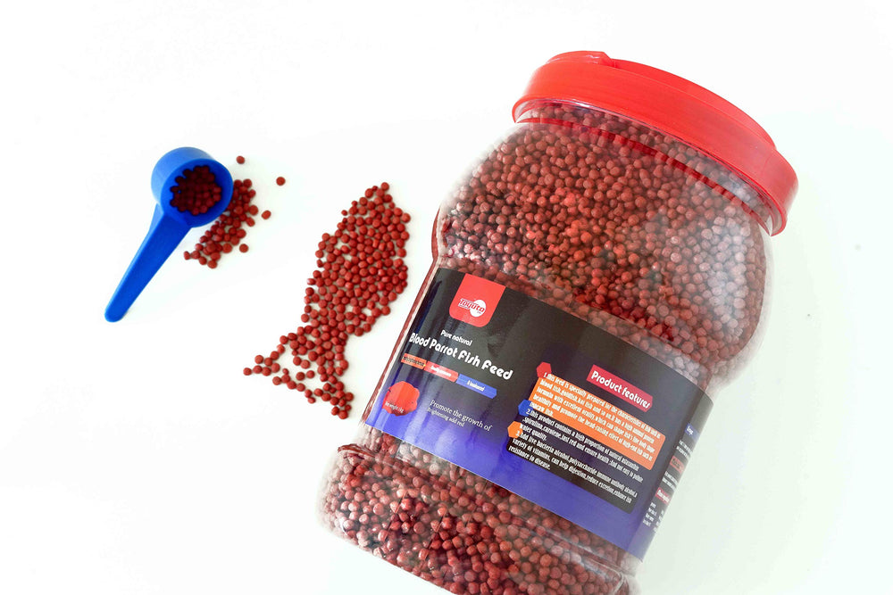 Toyuto floating pellets at the water surface aiding aquarium feeding