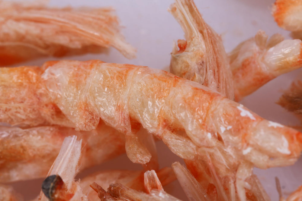 toyuto pristine waters sourced krill for eco-minded fish keepers