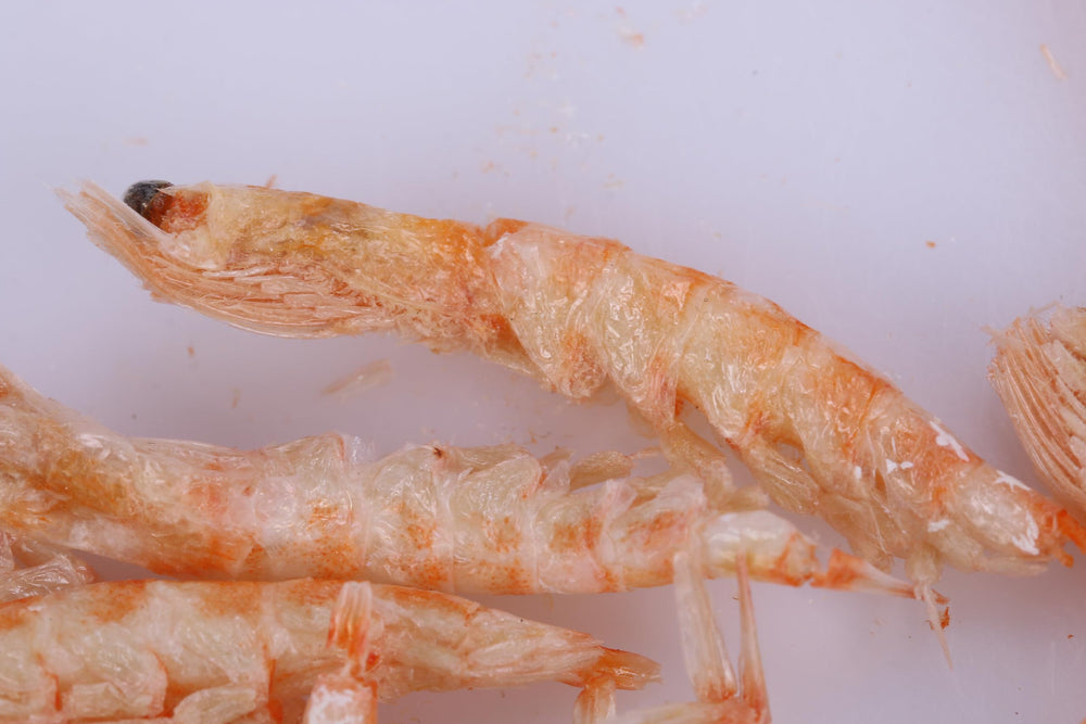 toyuto premium krill-shrimp mix storage jar with label and seal