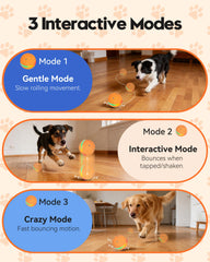TOZZWAIG orange LED light chase toy improves visibility during evening play