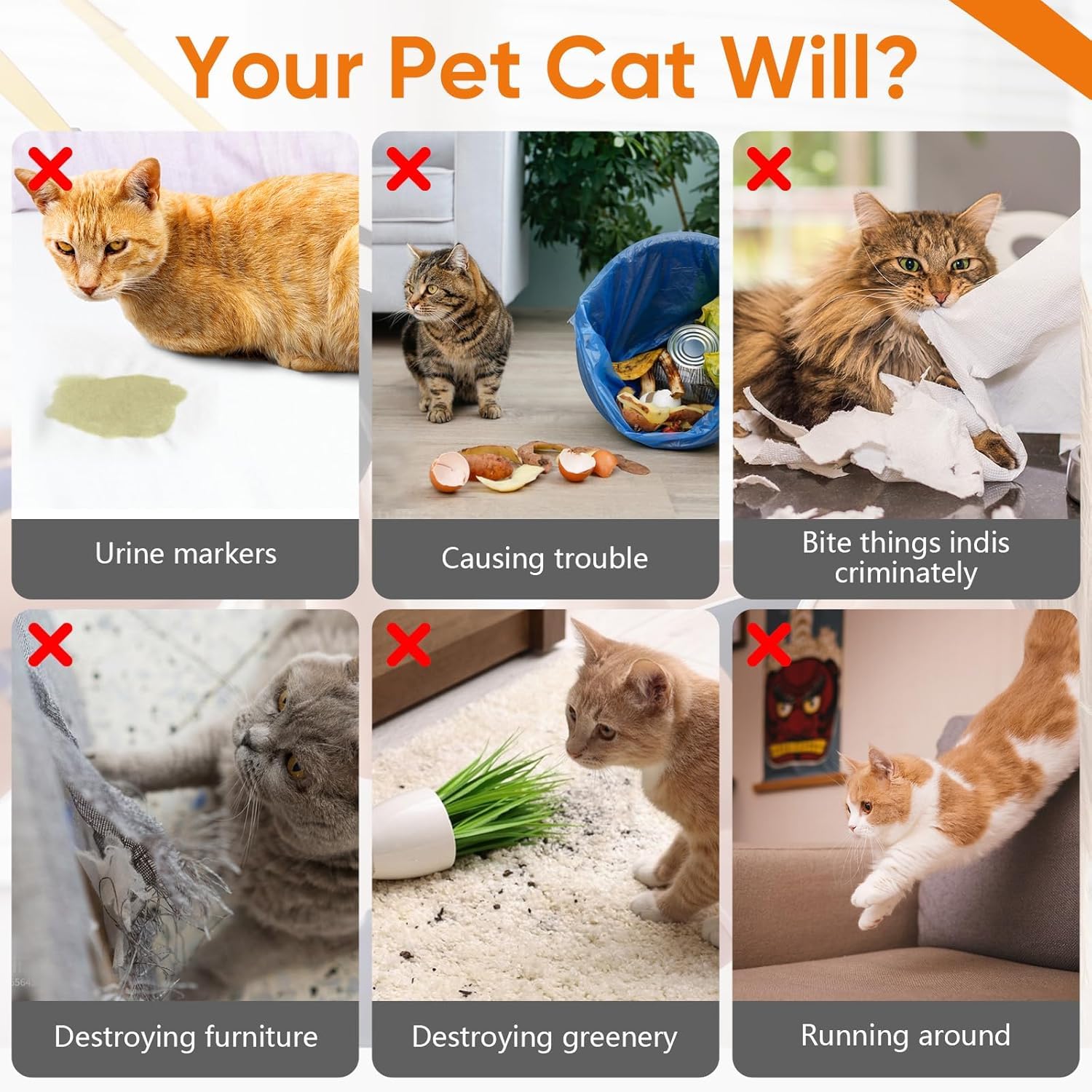 TPBEHMZ Cat Deterrent Spray outdoors helps manage outdoor zones.