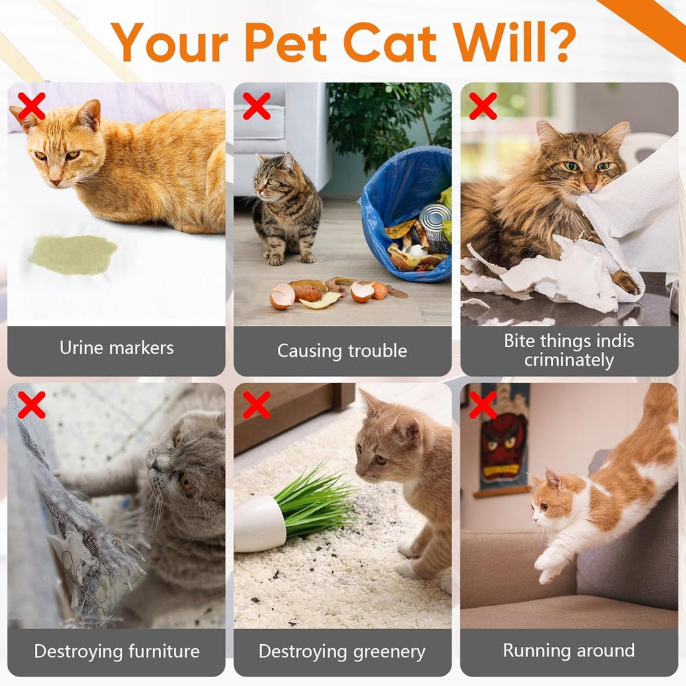 TPBEHMZ Cat Deterrent Spray outdoors helps manage outdoor zones.