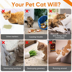 TPBEHMZ Cat Deterrent Spray outdoors helps manage outdoor zones.