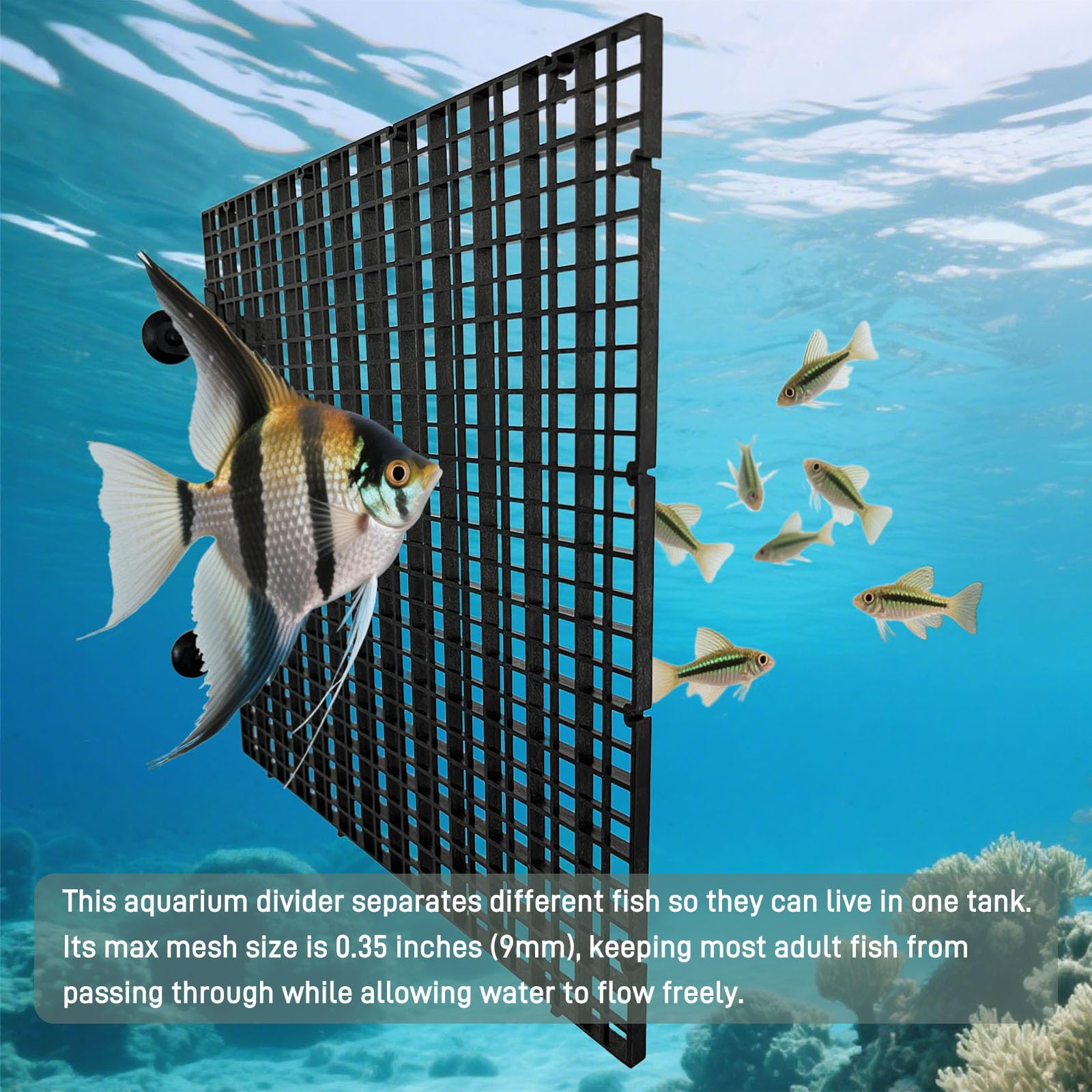 TQDXZA height adjustable panel fits decorations and water levels.