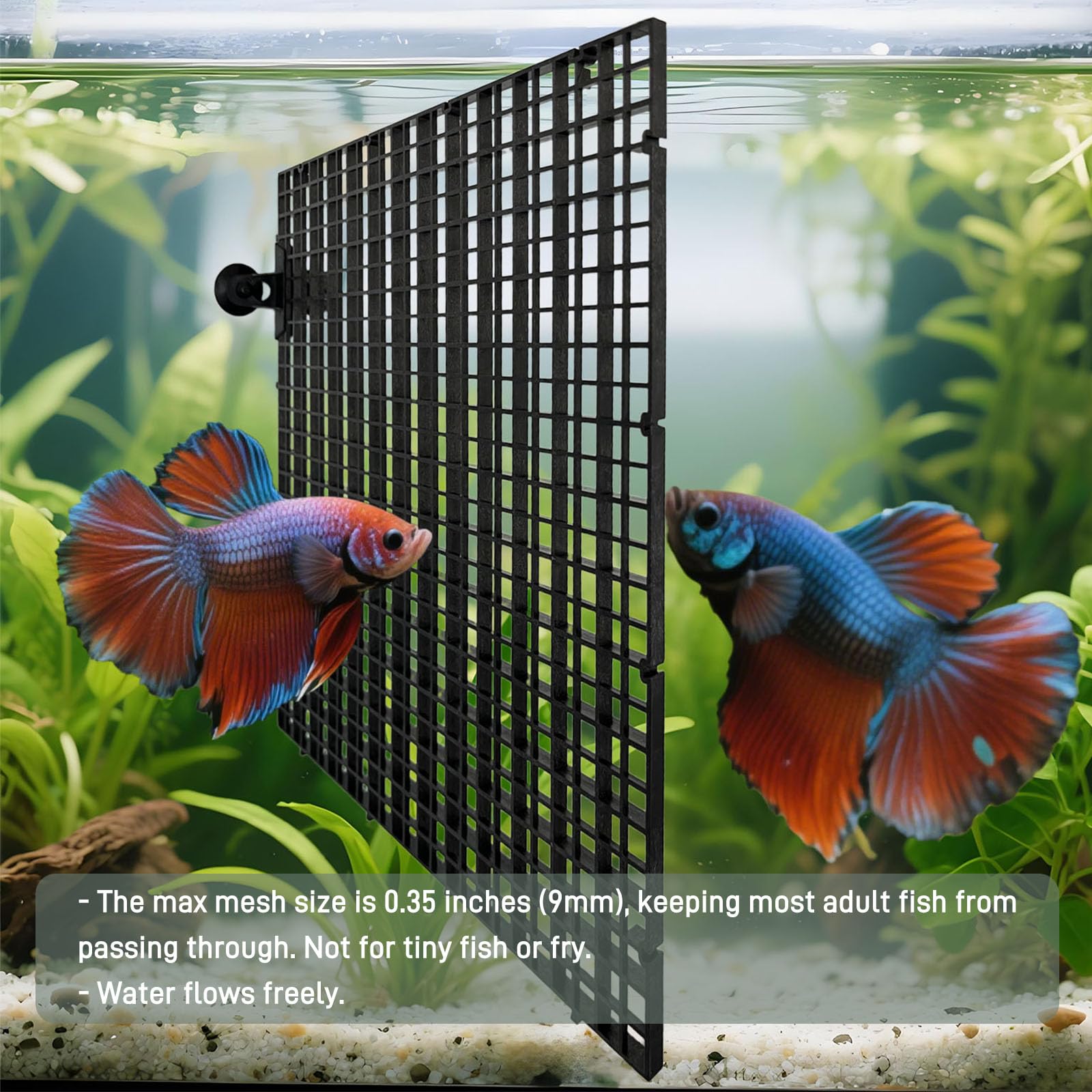 TQDXZA multi function divider suits breeders and lids.