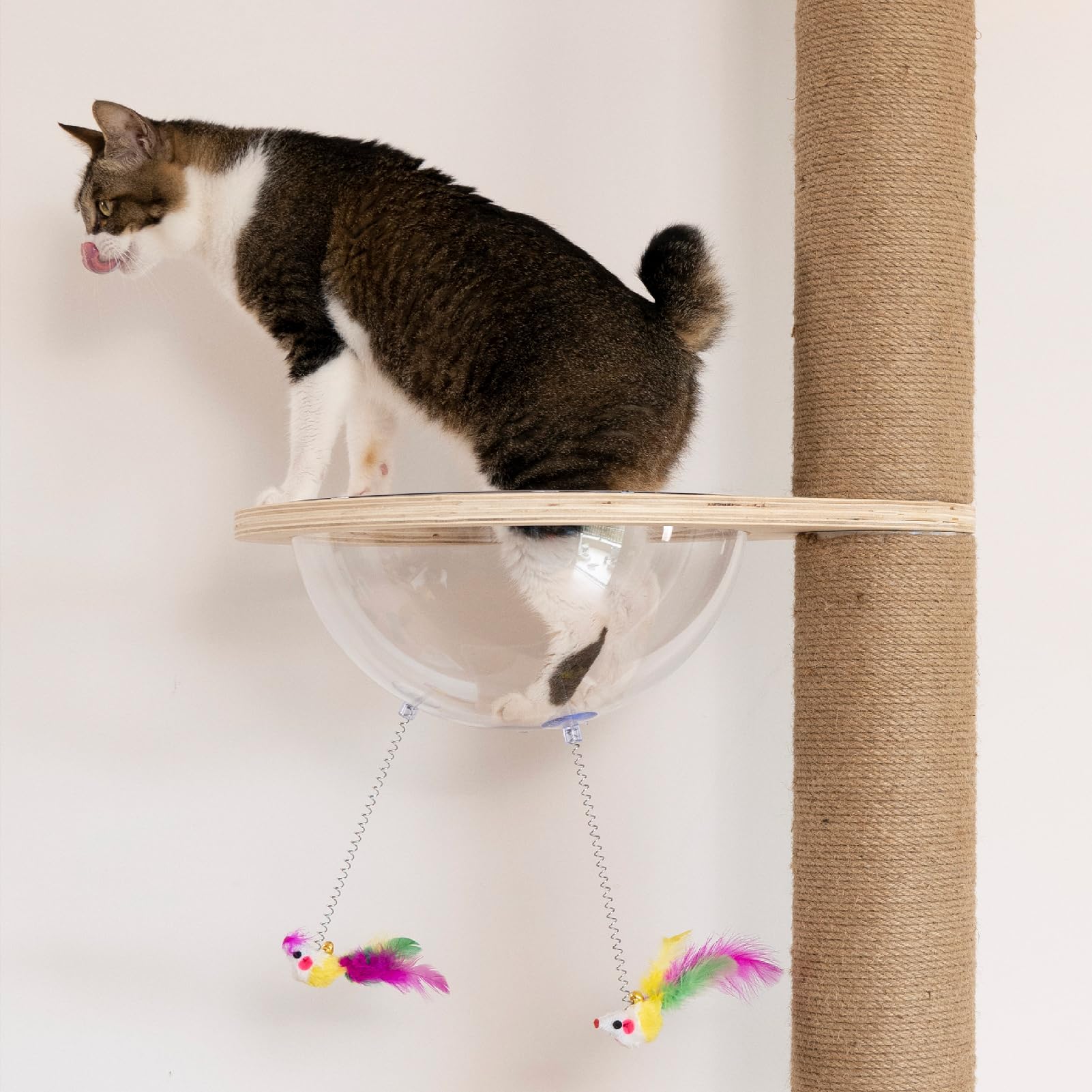 TQEW breathable plush fabric and easy-clean surfaces