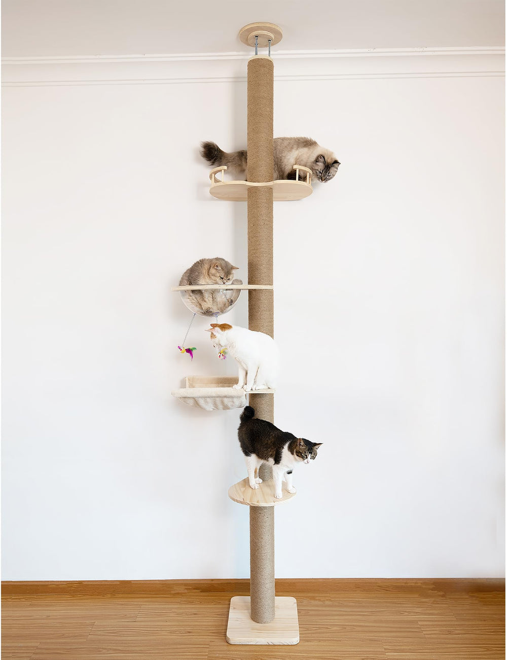 TQEW floor-to-ceiling cat tree assembled in living room for spacious play and climbing.