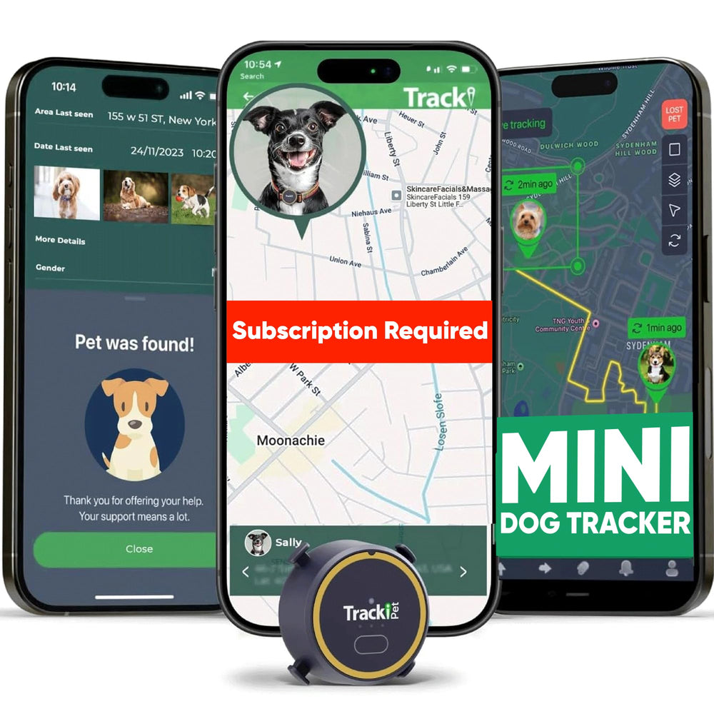 Tracki Dog GPS Tracker on collar for real-time location and safety checks.