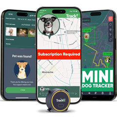 Tracki Dog GPS Tracker on collar for real-time location and safety checks.