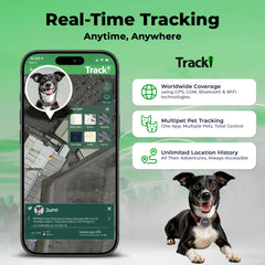 Tracki waterproof IP67 dog tracker withstands rain and splashes during outdoor adventures.