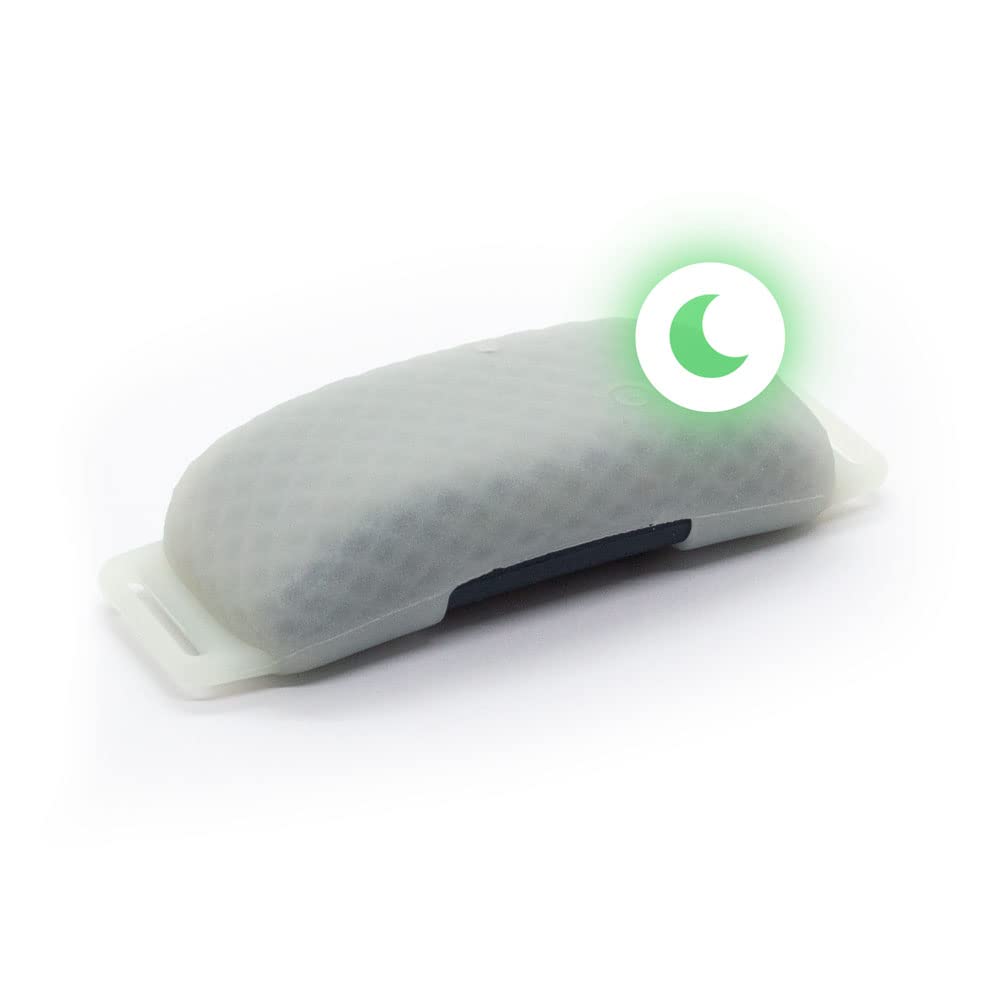 Tractive CAT 4 cat-wearing setup shows comfy, practical placement on daily collars.